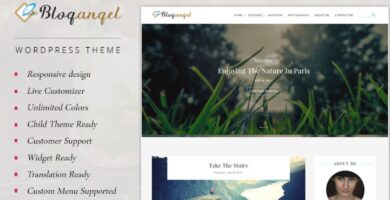 BlogAngel – Flawless Blogging Theme