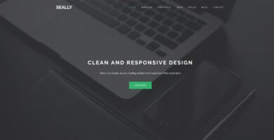 Seally – One Page Multipurpose HTML Theme