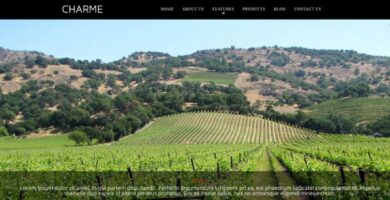 Charme – Winery And Wines WordPress Theme