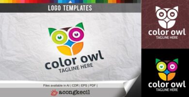 Color Owl – Logo Template