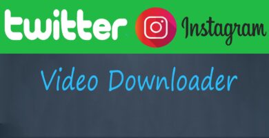 Twitter And Instagram Video Downloader PHP Script