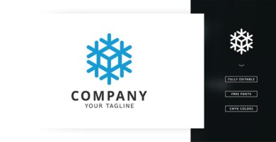 Snow Cube Logo Template
