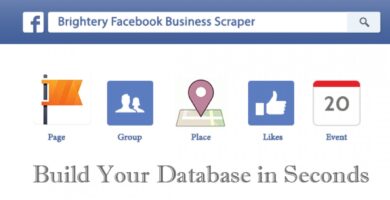 Brightery Facebook Business Scraper PHP Script