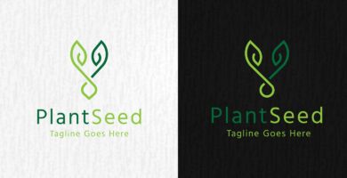 Plant Seed – Logo Template
