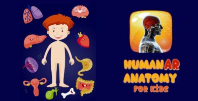 HumanAR Anatomy for Kids – iOS Source Code