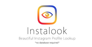 InstaLook – Instagram Profile Lookup Script