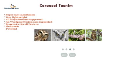 Carousel Tasnim – WordPress Slider Plugin