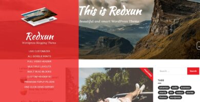 Redxun WordPress Theme