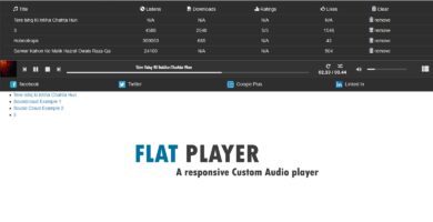 Flat Player
