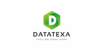 Datatexa D Letter Logo