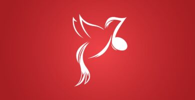 Bird Music Logo