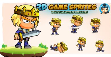 Prince 2D Game Character Sprites 216