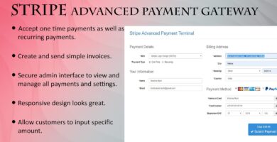 Stripe Advanced Payment Gateway Script