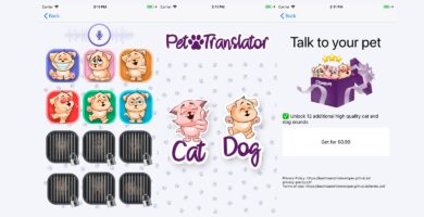 CatDog Translator – iOS Source Code