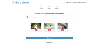 Codeigniter Ajax Multiple File Upload