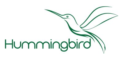 Abstract  Hummingbird Vector Logo