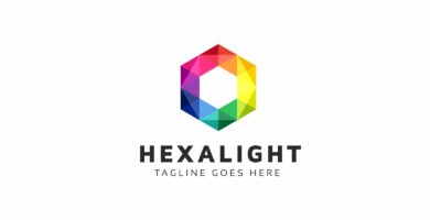 Hexagon Colorful Logo
