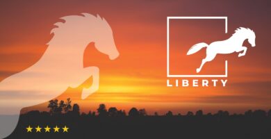 Liberty Logo Template