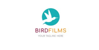 Flying Dove Logo