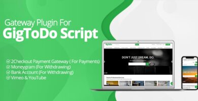 Gateway Plugin For GigToDo Script