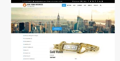 New York Business WordPress Theme