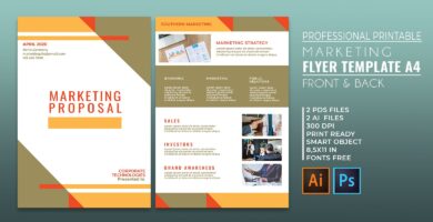 Professional Marketing Flyer 2 Templates A4