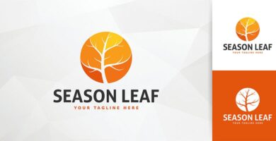 Season Leaf Logo Template