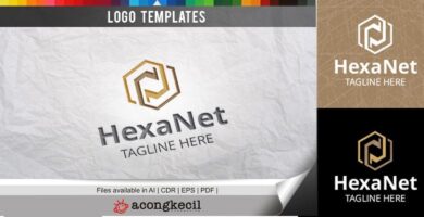HexaNet – Logo Template