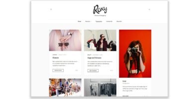 Roxy – WordPress Blog Theme