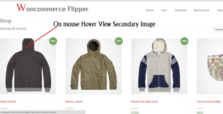 Image Flipper – WordPress WooCommerce Plugin