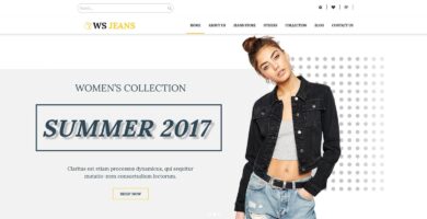 WS Jeans – WordPress Theme