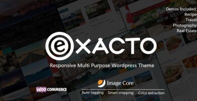 Exacto – Responsive WordPress Theme