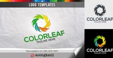 ColorLeaf – Logo Template